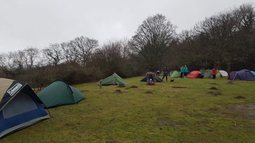 Tents in a field, surrounded by trees