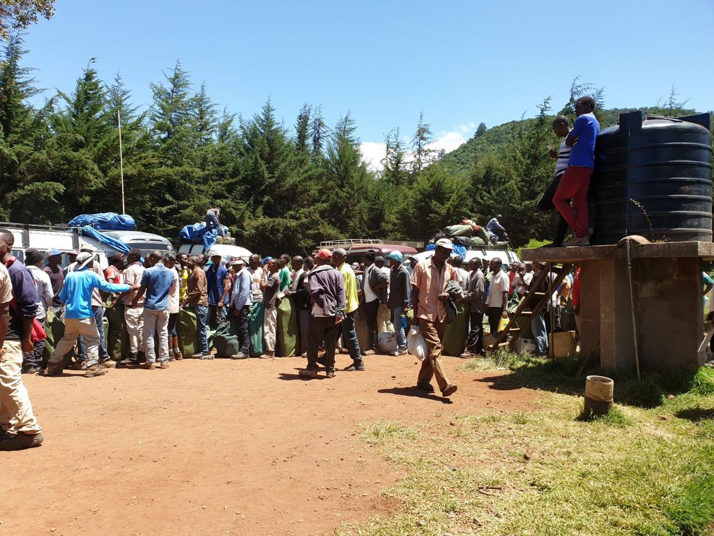 A queue of locals, waiting to get their loads weighed