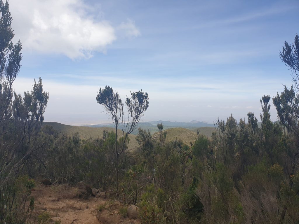 Scrub and small trees, looking oput down the plains, with more mountains in the distance