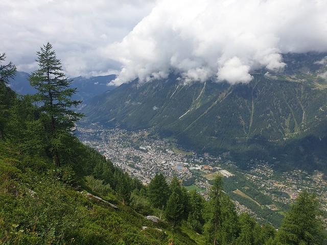 looking down a mountain, covered in pine trees, to the valley and the town of Chamonix