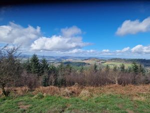 View from Vinnals Hill, with conifer trees, rolling hills and a blue sky with clouds